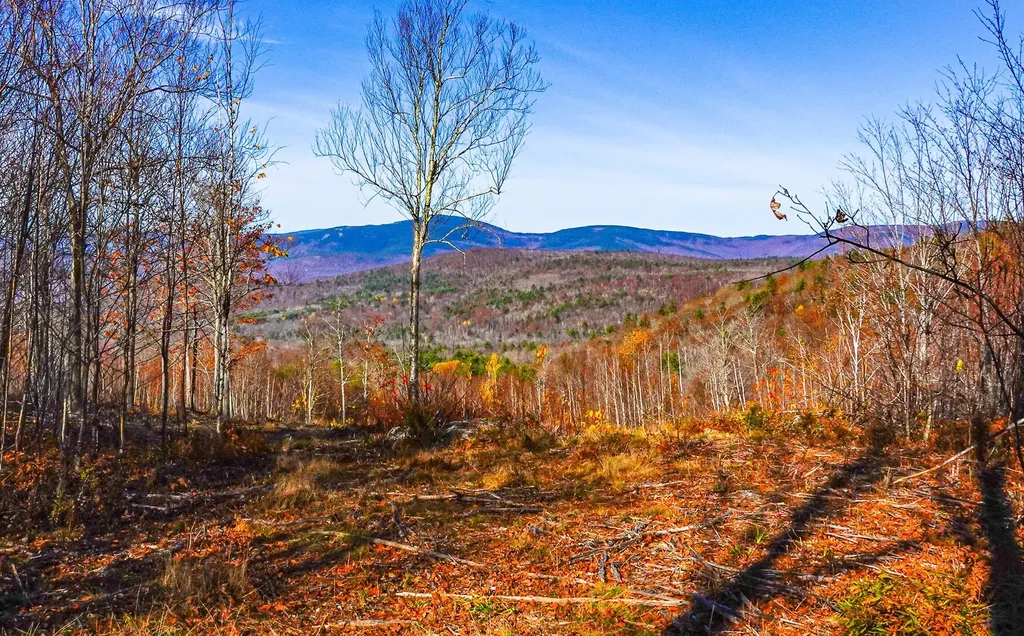 Lot 4 Mine Road Stoneham ME 04231