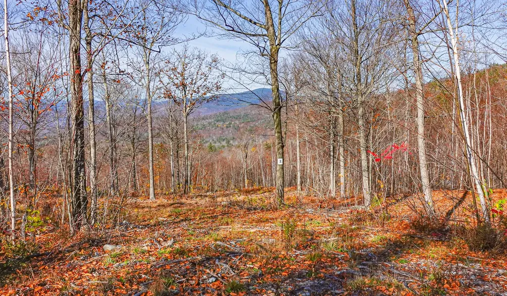 Lot 2 Mine Road Stoneham ME 04231
