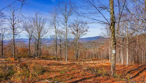 Lot 2 Mine Road Stoneham ME 04231