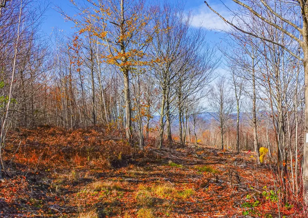 Lot 5 Mine Road Stoneham ME 04231