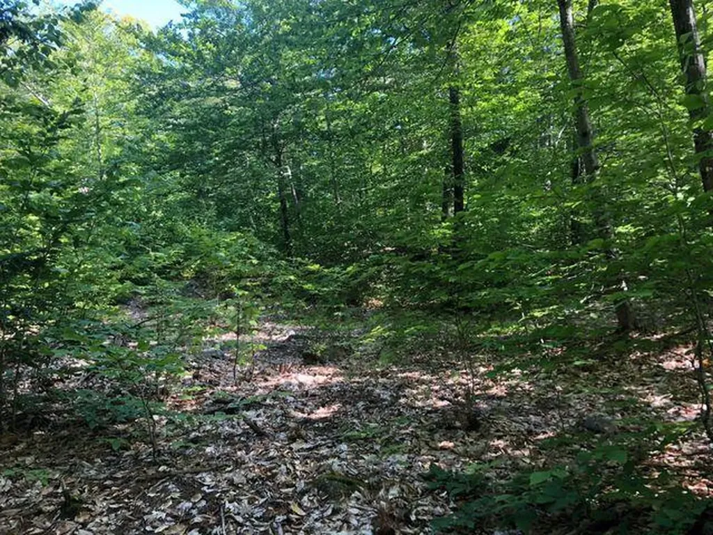 0 Fox Run Raymond ME 04071