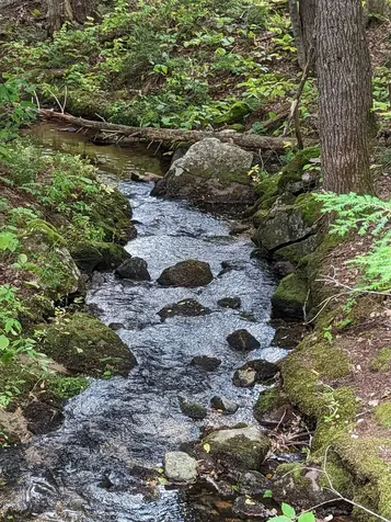 181 Shedd Road Norway ME 04268
