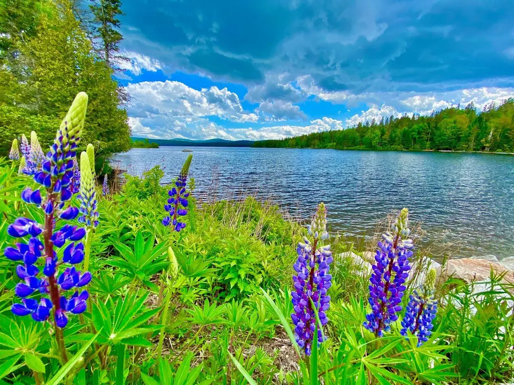 Tbd Mingo Loop Road Rangeley ME 04970