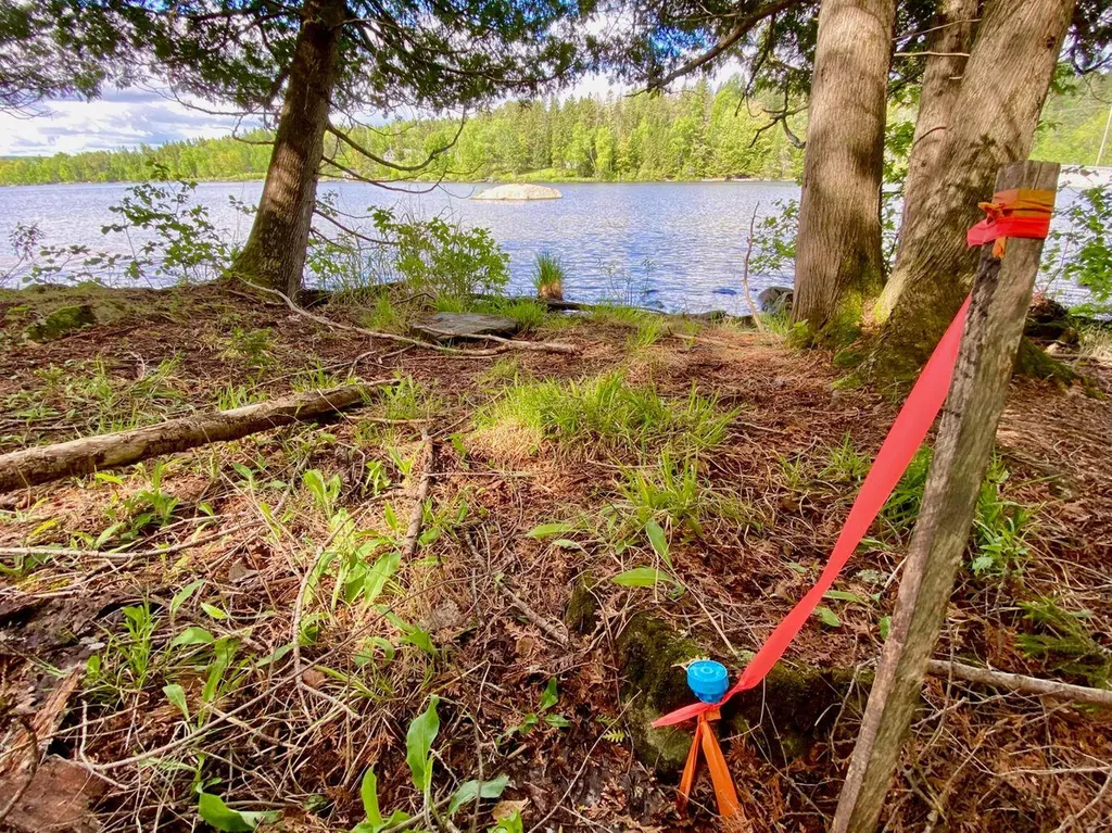Tbd Mingo Loop Road Rangeley ME 04970