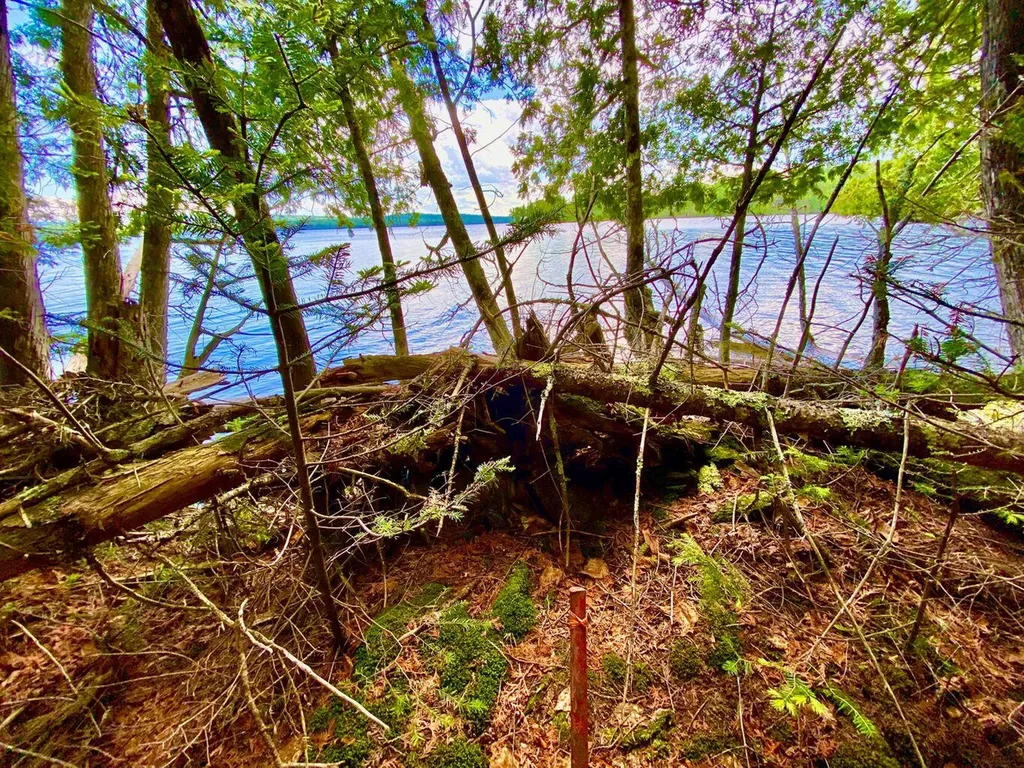 Tbd Mingo Loop Road Rangeley ME 04970