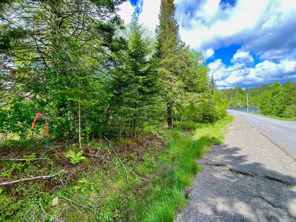 Tbd Mingo Loop Road Rangeley ME 04970