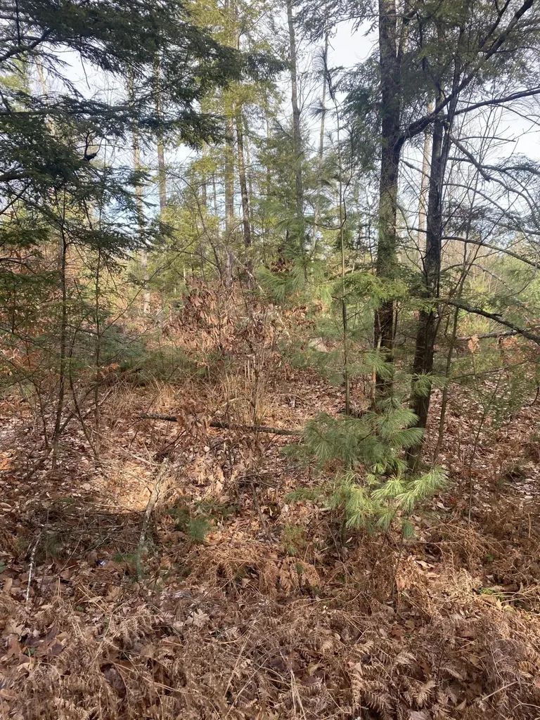 301 Boundary Road Standish ME 04084