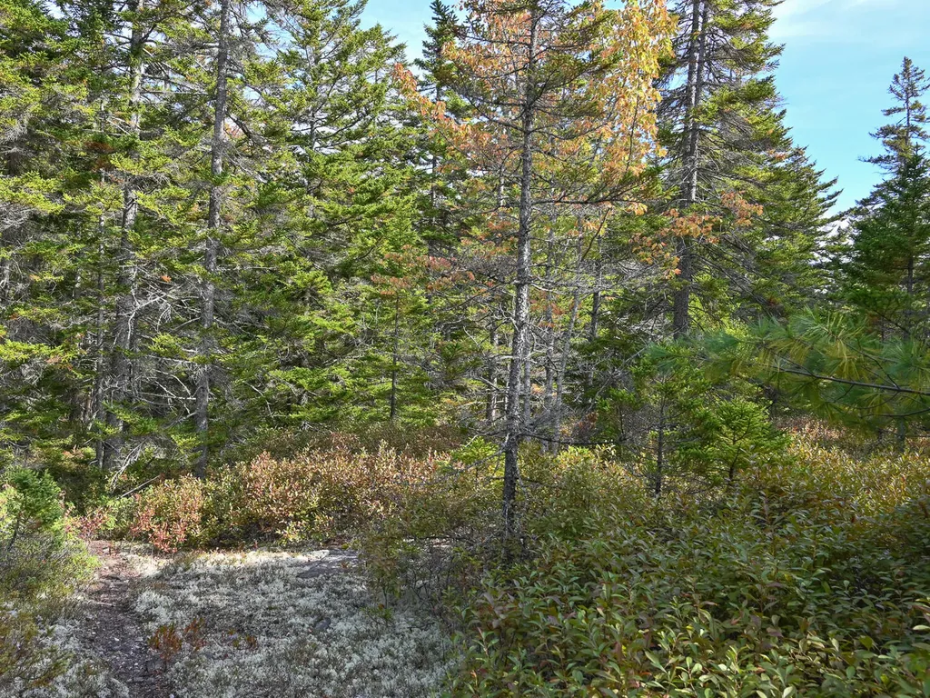 000 Seawall Map/lot 17/11-01 Road Southwest Harbor ME 04679