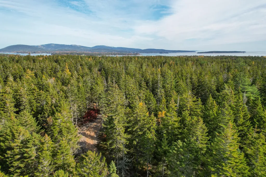 000 Seawall Map/lot 17/11-01 Road Southwest Harbor ME 04679