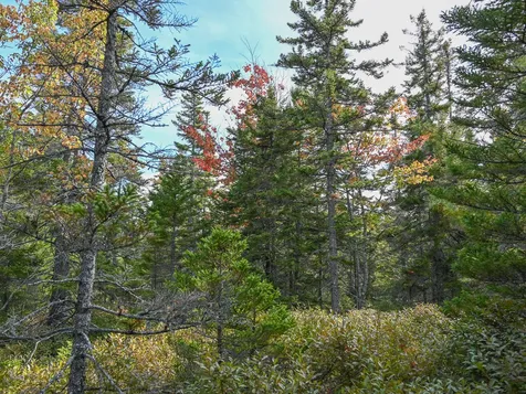 000 Seawall Map/lot 17/11-01 Road Southwest Harbor ME 04679