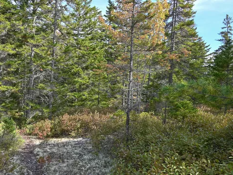 000 Seawall Map/lot 17/11-04 Southwest Harbor ME 04679