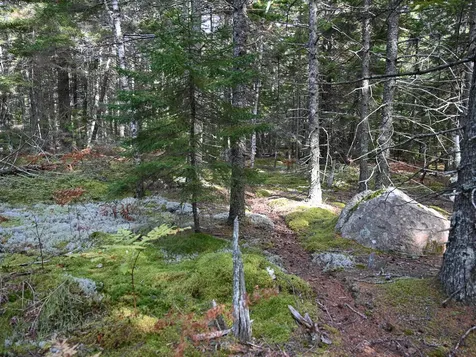 000 Seawall Map/lot 17/11-04 Southwest Harbor ME 04679