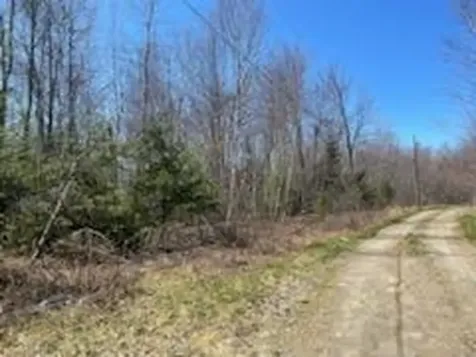 0 Tunk Woods Road Belmont ME 04952