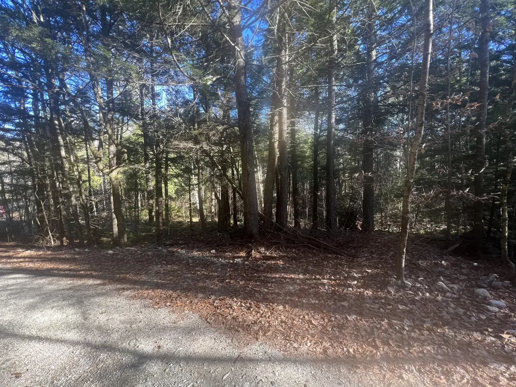 Lot 37 Wedge Heights Road Orland ME 04472