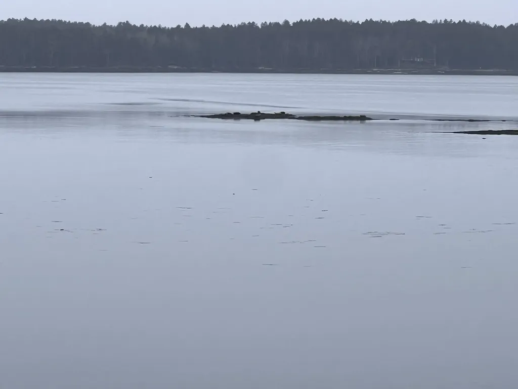 38 Samuels Landing Road Phippsburg ME 04562