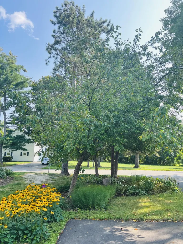 154 Clark Avenue Bangor ME 04401