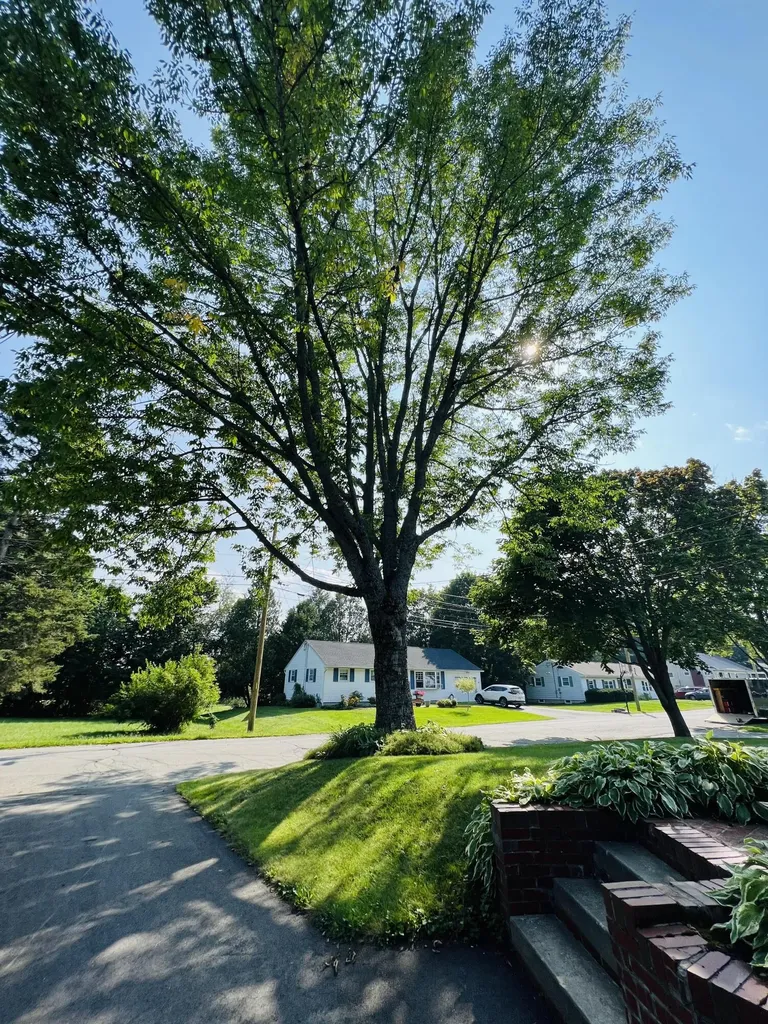 154 Clark Avenue Bangor ME 04401