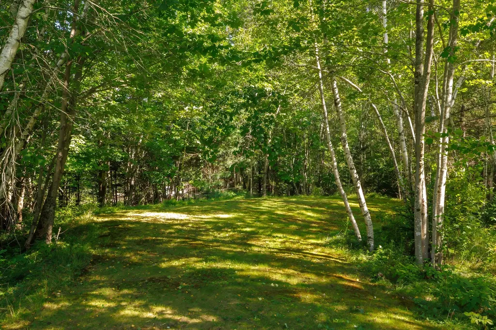 235 Nicolin Road Ellsworth ME 04605