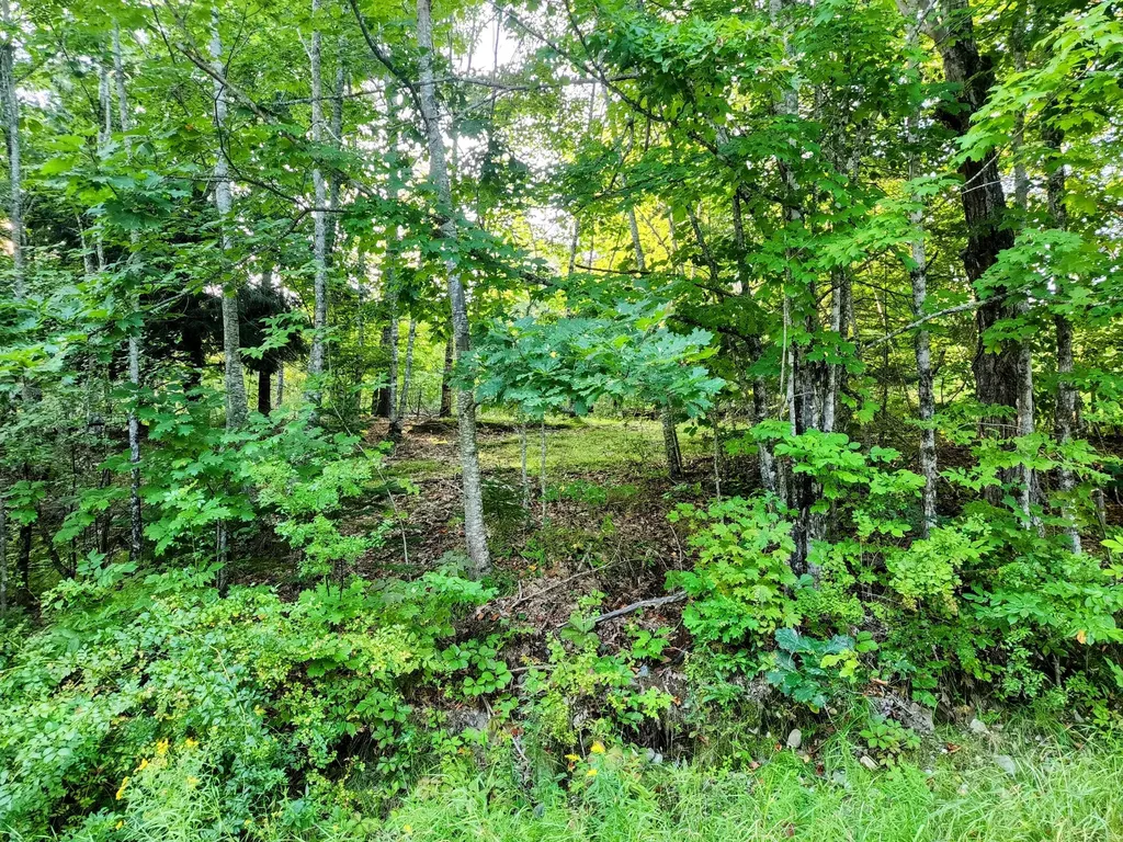 Lots 26&94 North Ridge Road Montville ME 04941