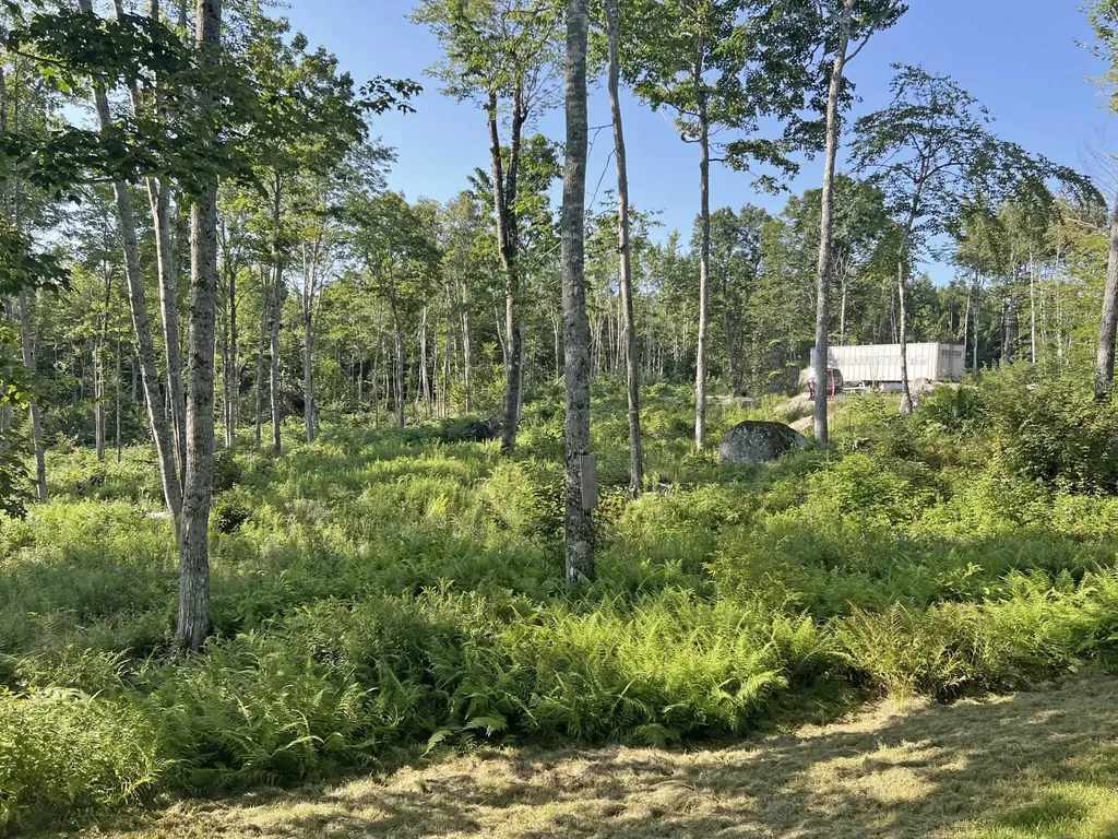 92 Trout Brook Road Mariaville ME 04605