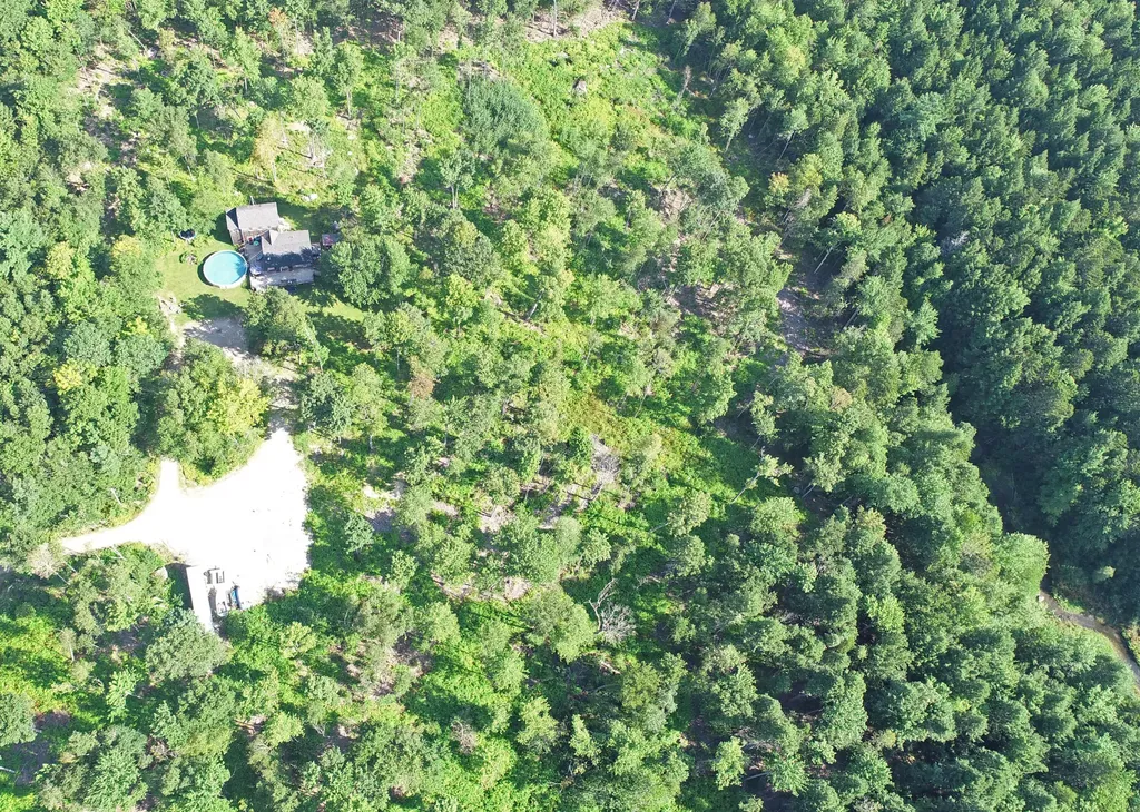 92 Trout Brook Road Mariaville ME 04605