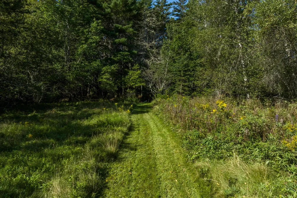 91 Park Street Cherryfield ME 04622