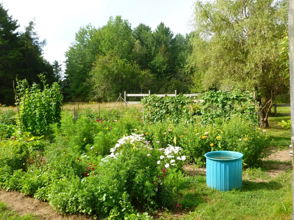 91 Park Street Cherryfield ME 04622