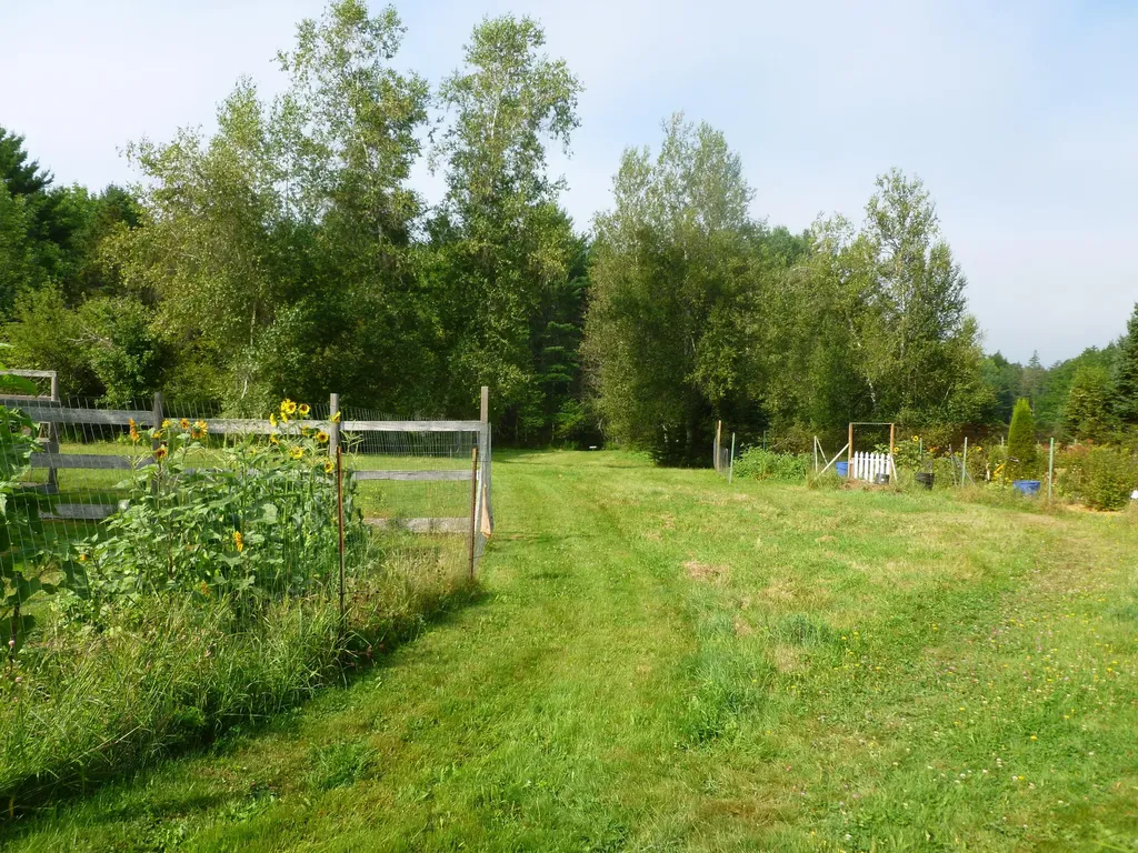 91 Park Street Cherryfield ME 04622