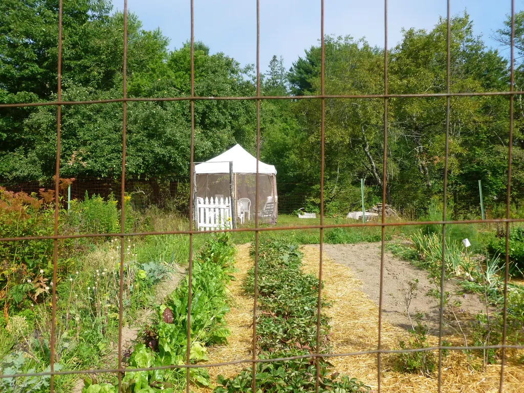 91 Park Street Cherryfield ME 04622