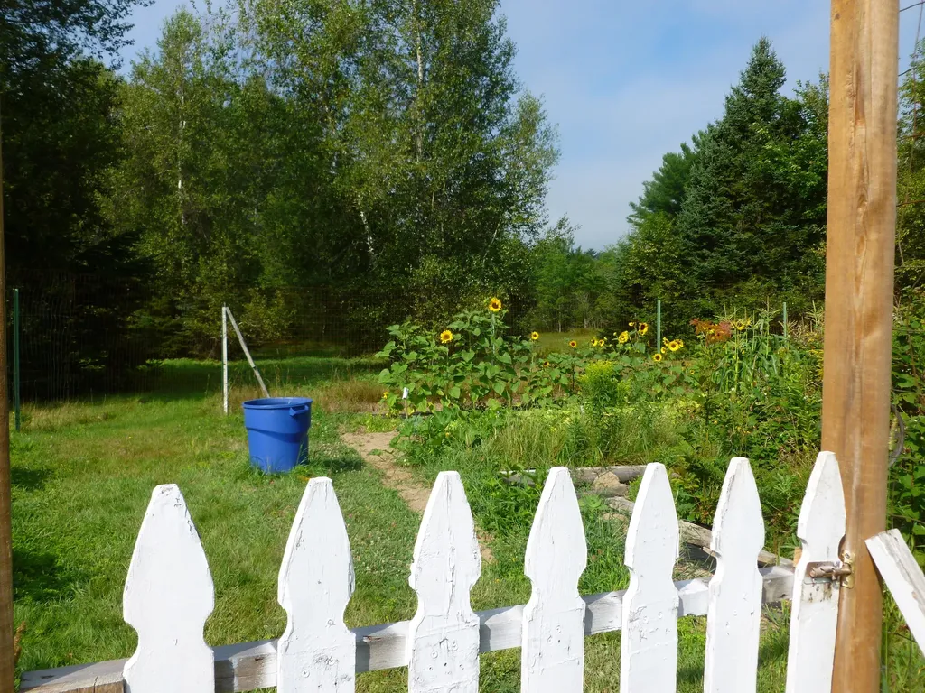 91 Park Street Cherryfield ME 04622