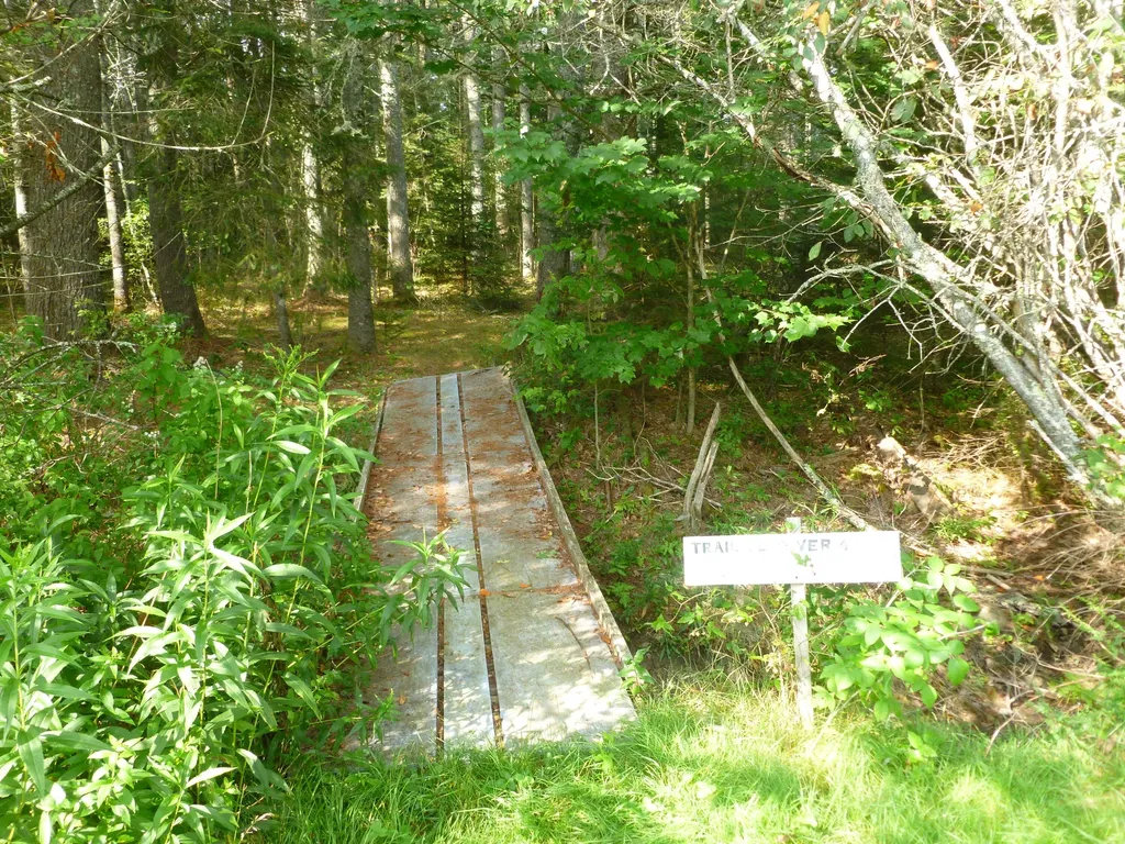 91 Park Street Cherryfield ME 04622