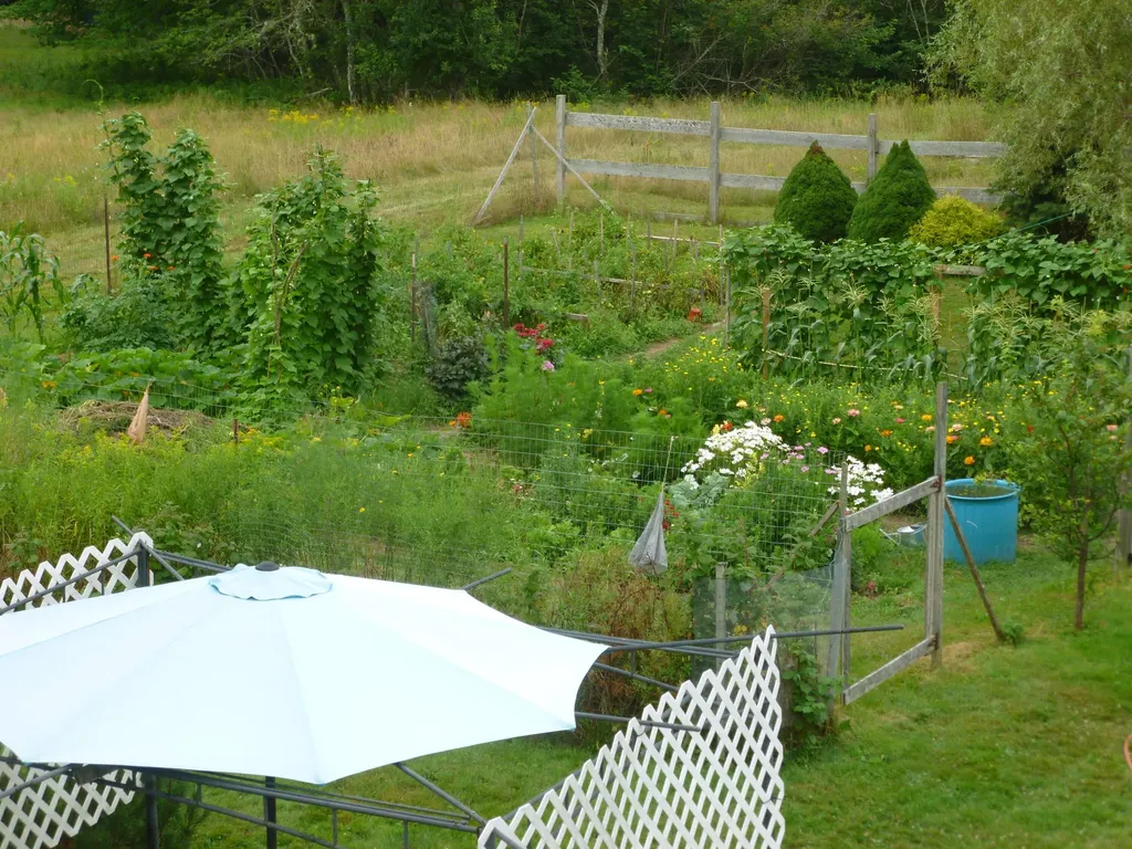 91 Park Street Cherryfield ME 04622