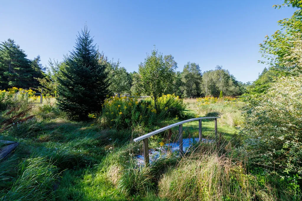 91 Park Street Cherryfield ME 04622
