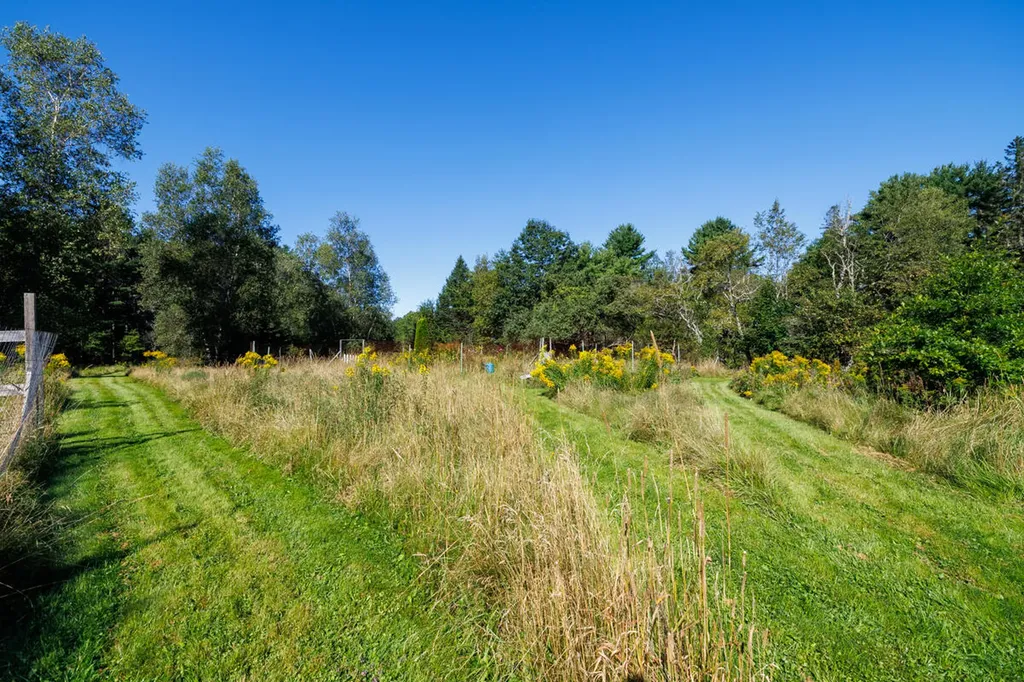 91 Park Street Cherryfield ME 04622