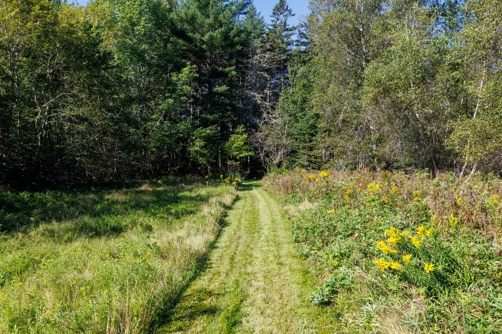 91 Park Street Cherryfield ME 04622