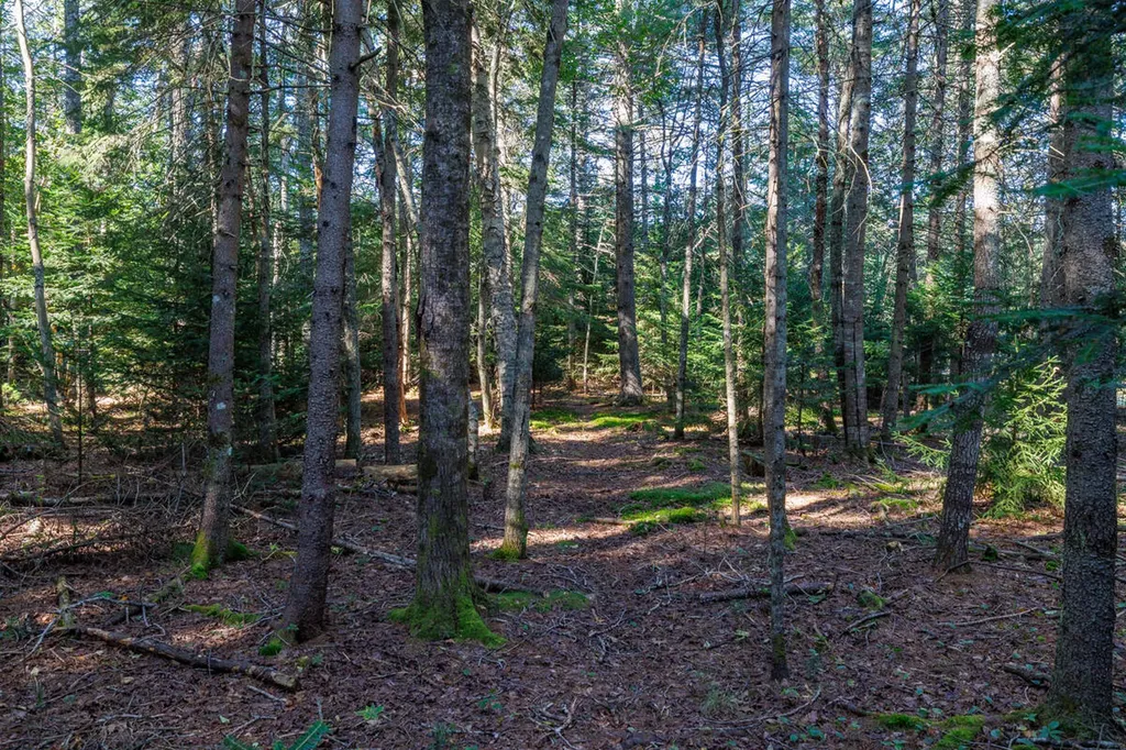 91 Park Street Cherryfield ME 04622
