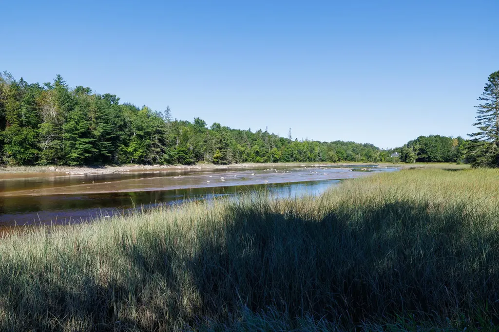 91 Park Street Cherryfield ME 04622