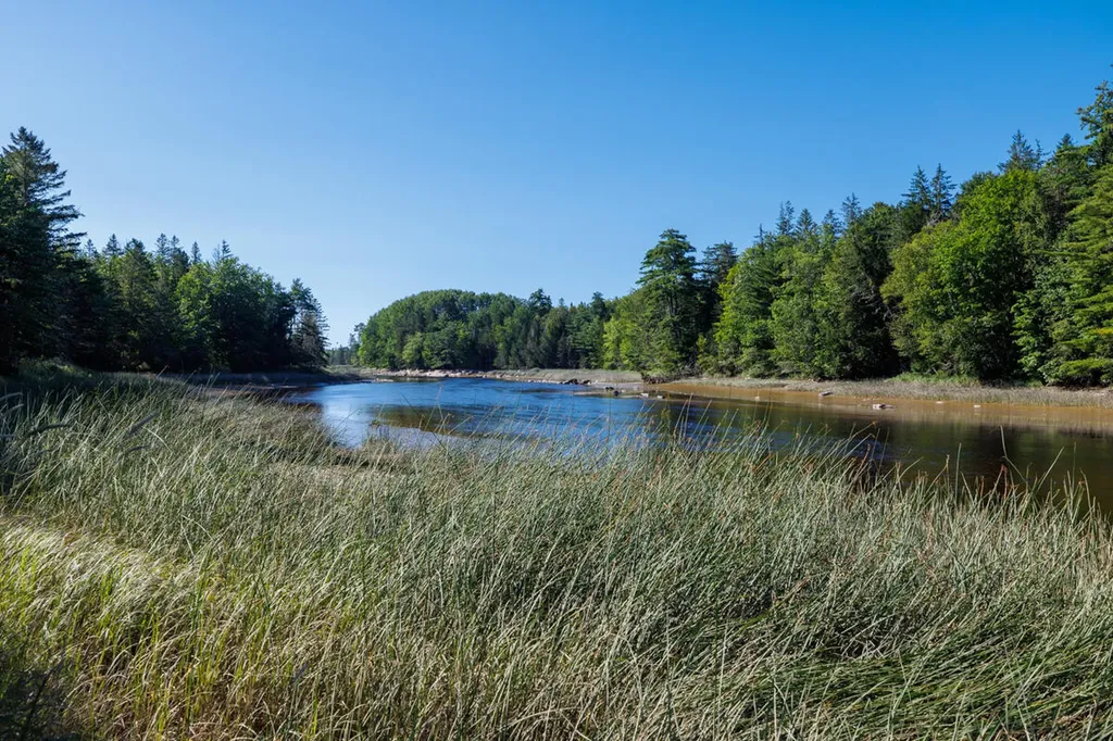 91 Park Street Cherryfield ME 04622
