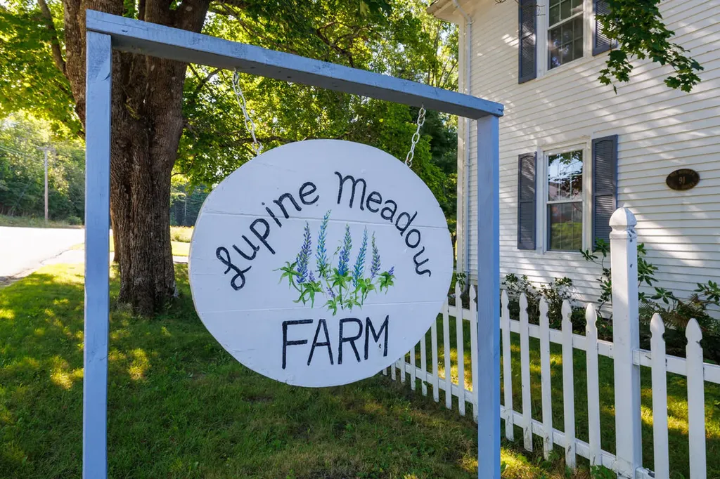 91 Park Street Cherryfield ME 04622