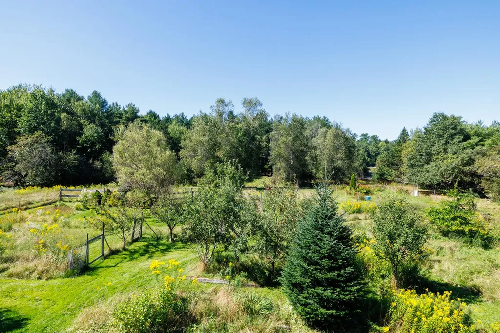 91 Park Street Cherryfield ME 04622
