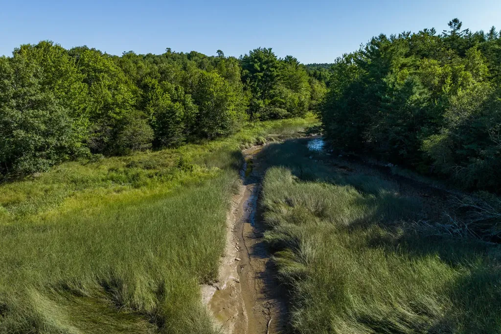 91 Park Street Cherryfield ME 04622