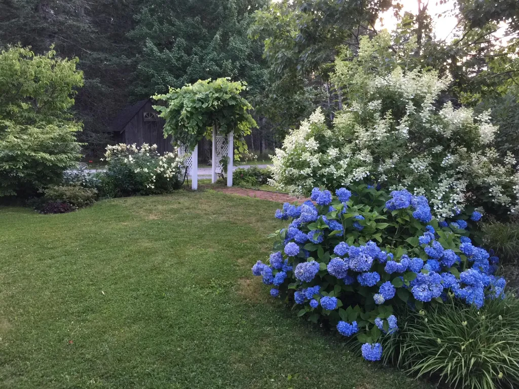 48 Oak Point Road Deer Isle ME 04627