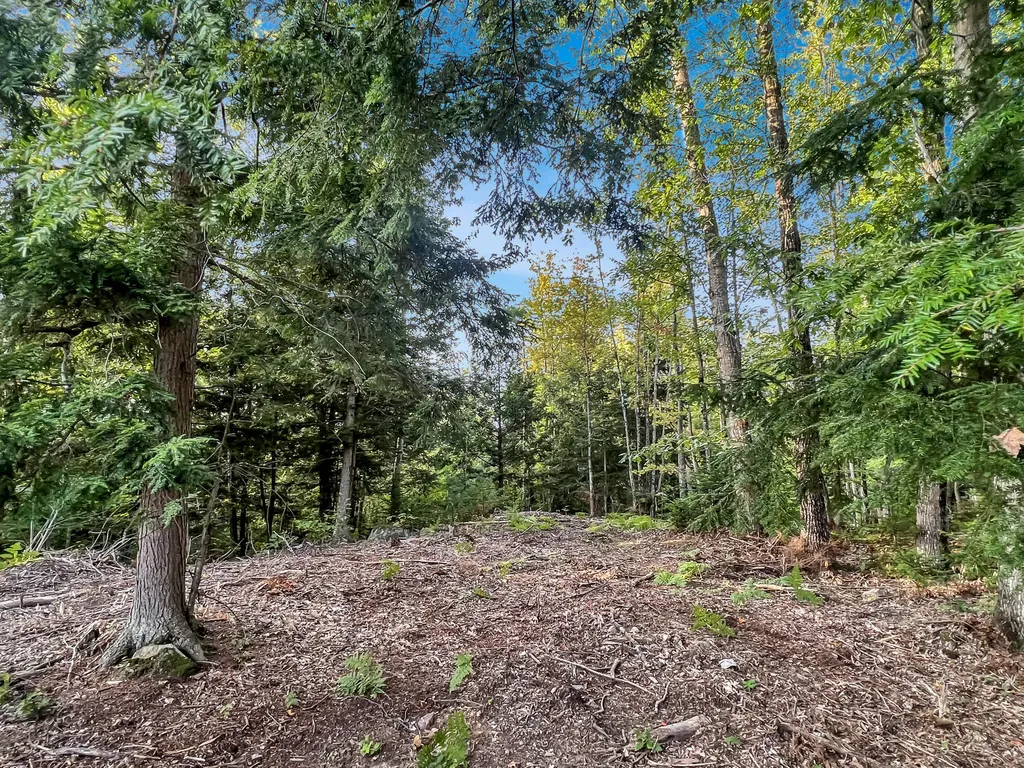 10 Wilderness Way Turner ME 04282