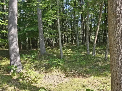 42 Garner Avenue Parsonsfield ME 04047