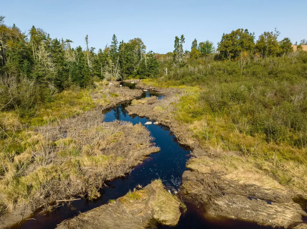 117 Denbow Road Lubec ME 04652