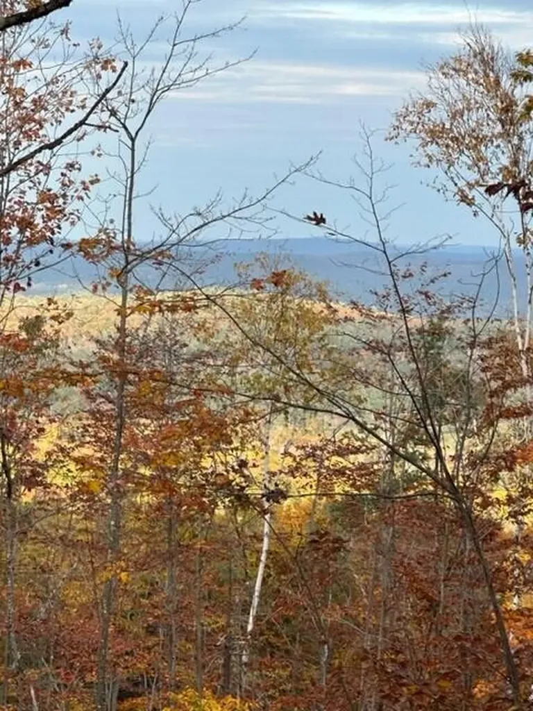 Lot 42-b2 Bear Trap Road Bridgton ME 04009