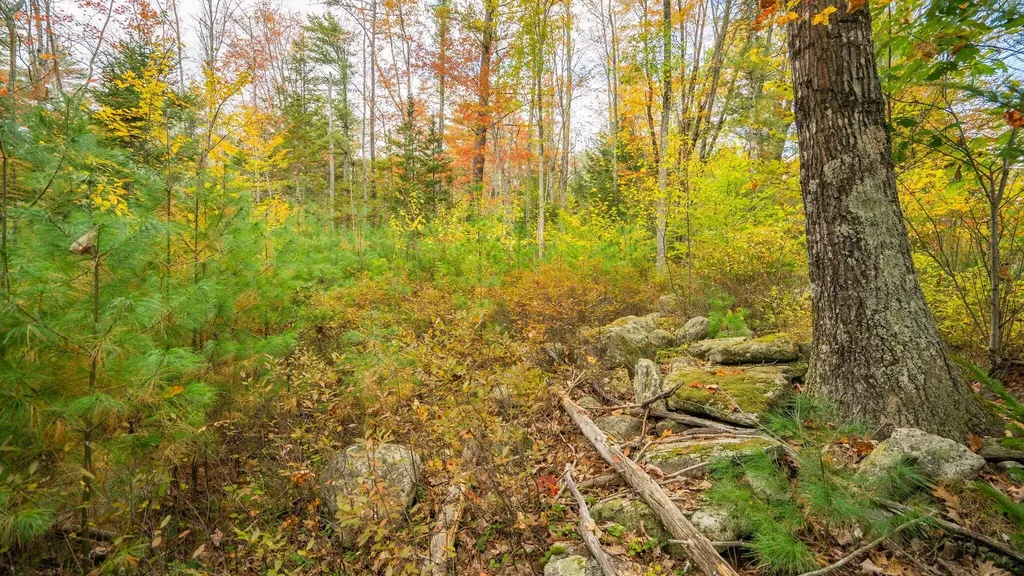 214 Duck Pond Road Westbrook ME 04092