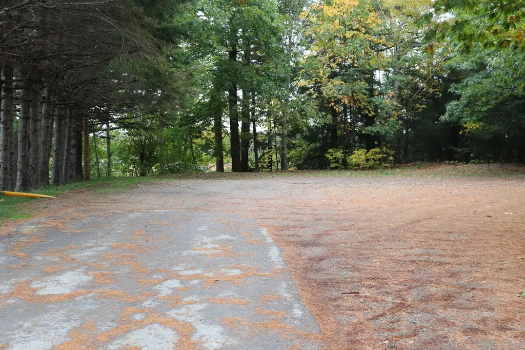 38 Carver Road Hampden ME 04444