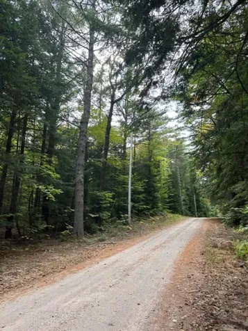 Lot 96 Thurston Road Brownfield ME 04010