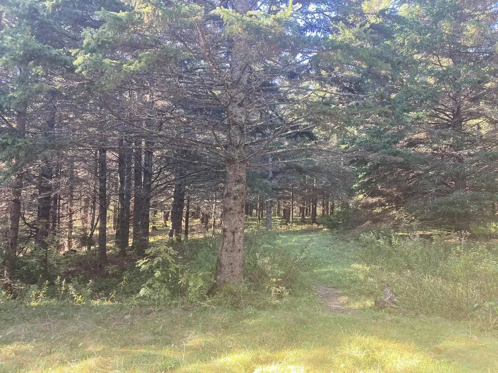 2379 Us Highway 1 Sullivan ME 04664